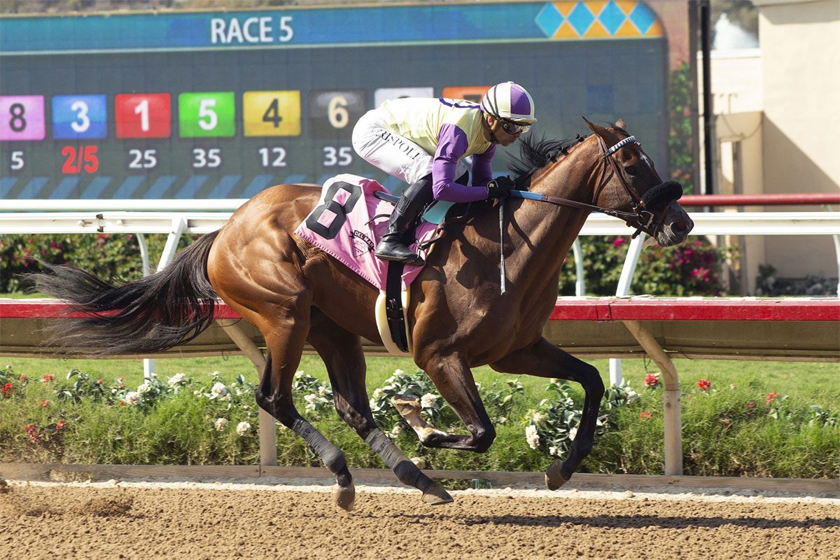 Classical Cat wins Del Mar Oaks