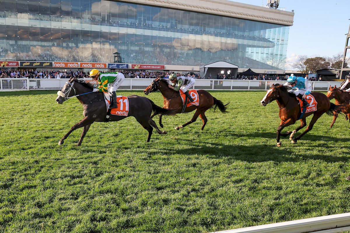 Chain Of Lightning stays unbeaten thanks to Cockram win