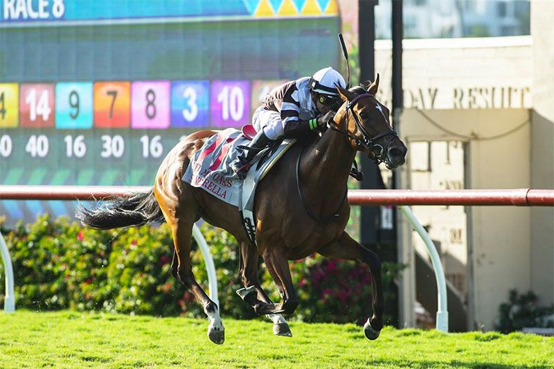 Spendarella Shows Grade 1 Class With Del Mar Oaks Win