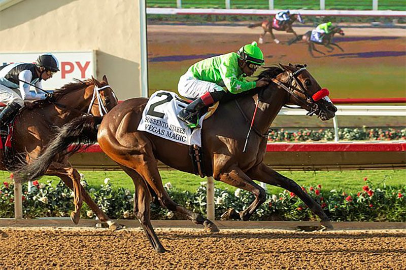 Vegas Magic wins Sorrento Stakes