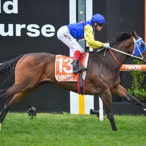 See You In Heaven smashes rivals in Sandown Guineas