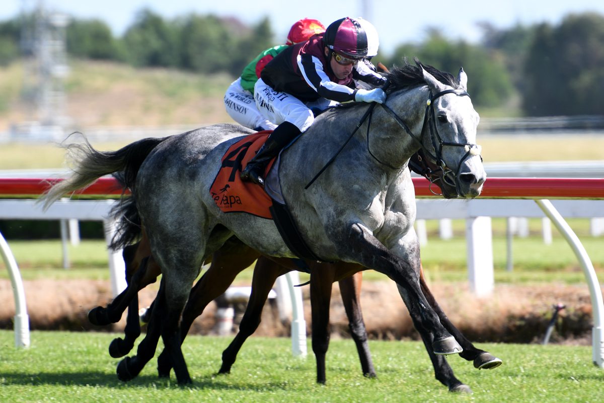 Cup hope’s chances at mercy of outside factors