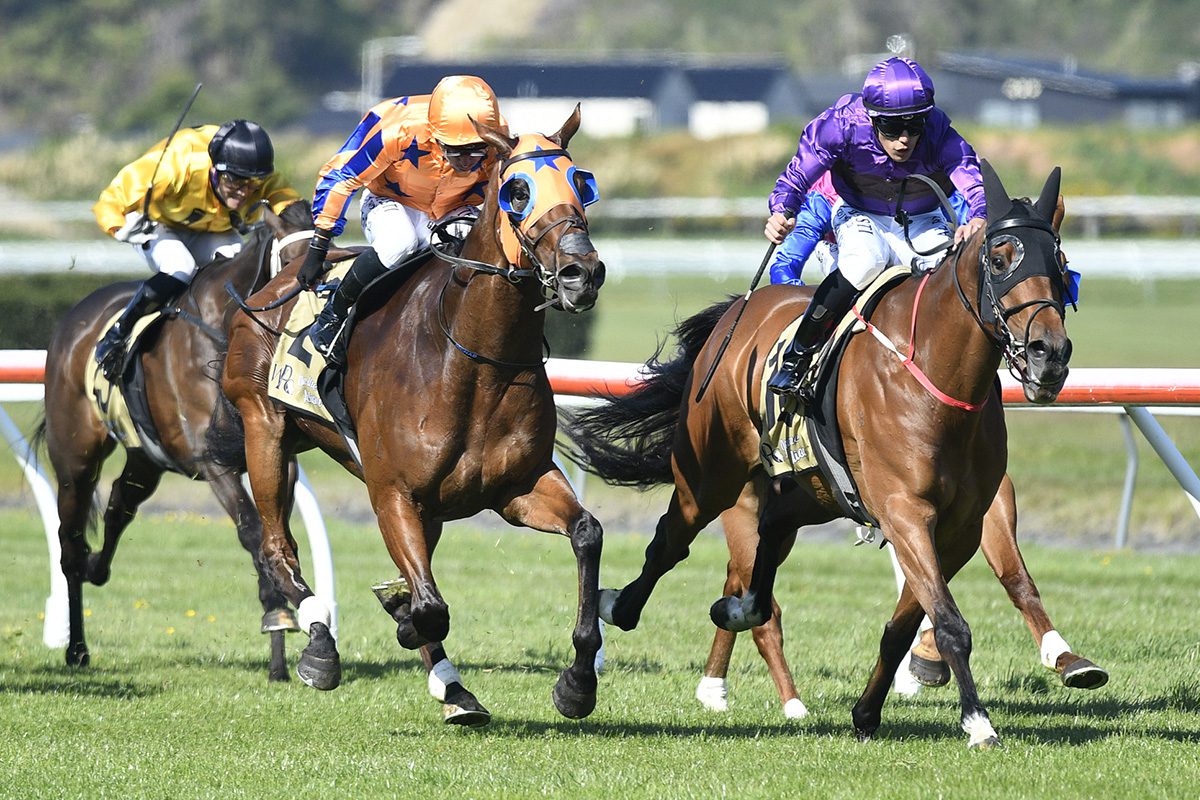 Lisa Latta looks for strong start to Trentham carnival