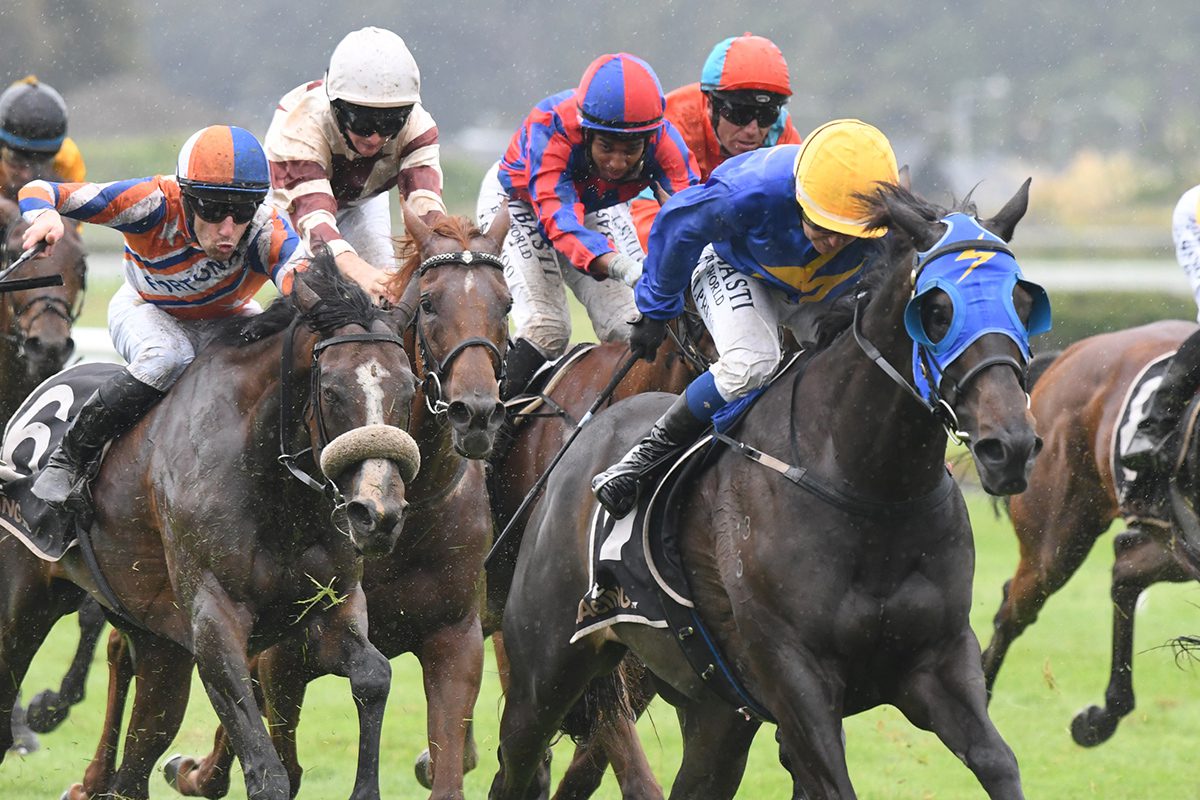 Peter & Shaun McKay bring Sagunto & Langkawi to JAPAC Marton Cup