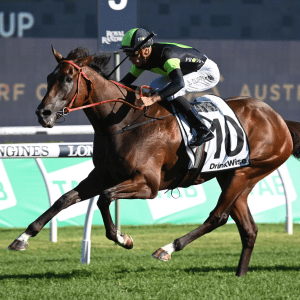 Think About It heads top field for Stradbroke Handicap