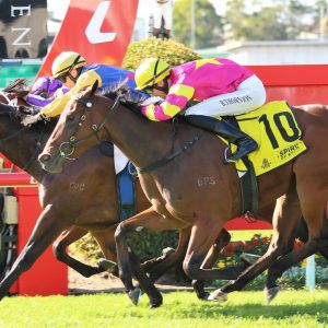 Cifrado eyeing another Group win in JJ Atkins