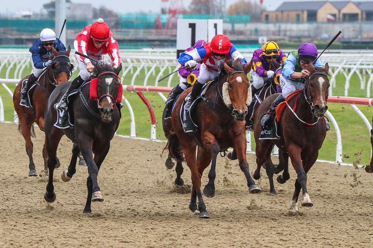Sassy Chouxs set to dish up another win