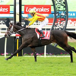 Amokura runs away with Group 1 Queensland Oaks