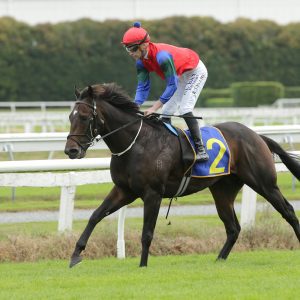 Solidify raring to go ahead of JJ Atkins