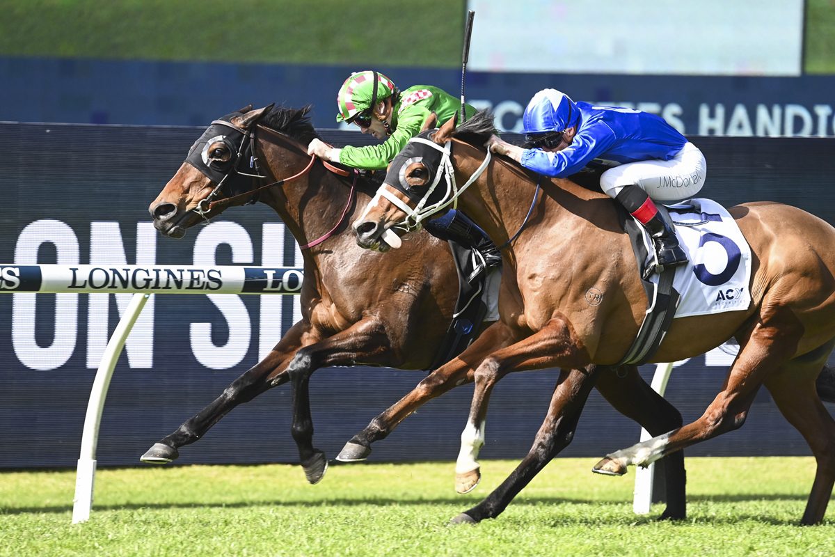 Retirement plans on hold for Rosehill winner