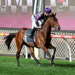 Griff claims Group 2 Stutt Stakes