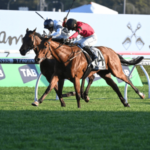 Just Fine takes out the Group 1 Metropolitan