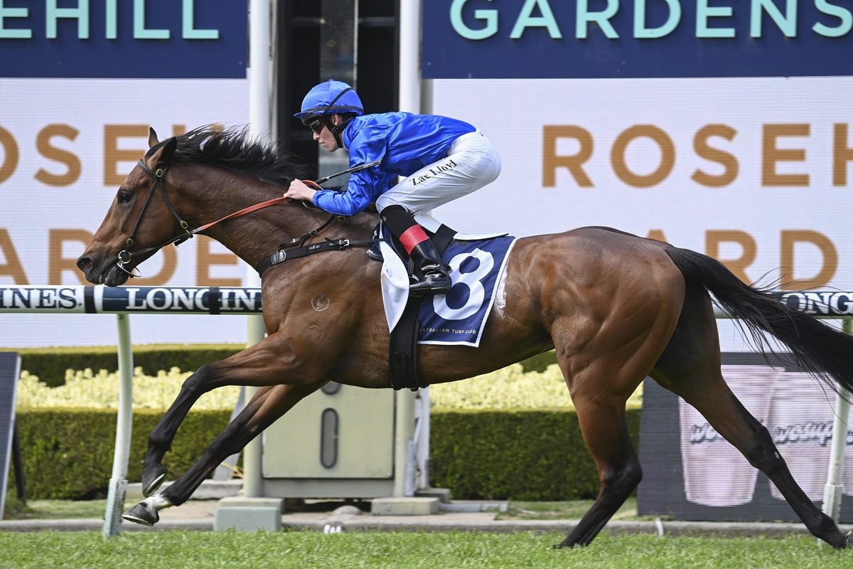 Marquess makes a mess of rivals at Rosehill