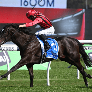 Tropical Squall leads throughout to claim Flight Stakes