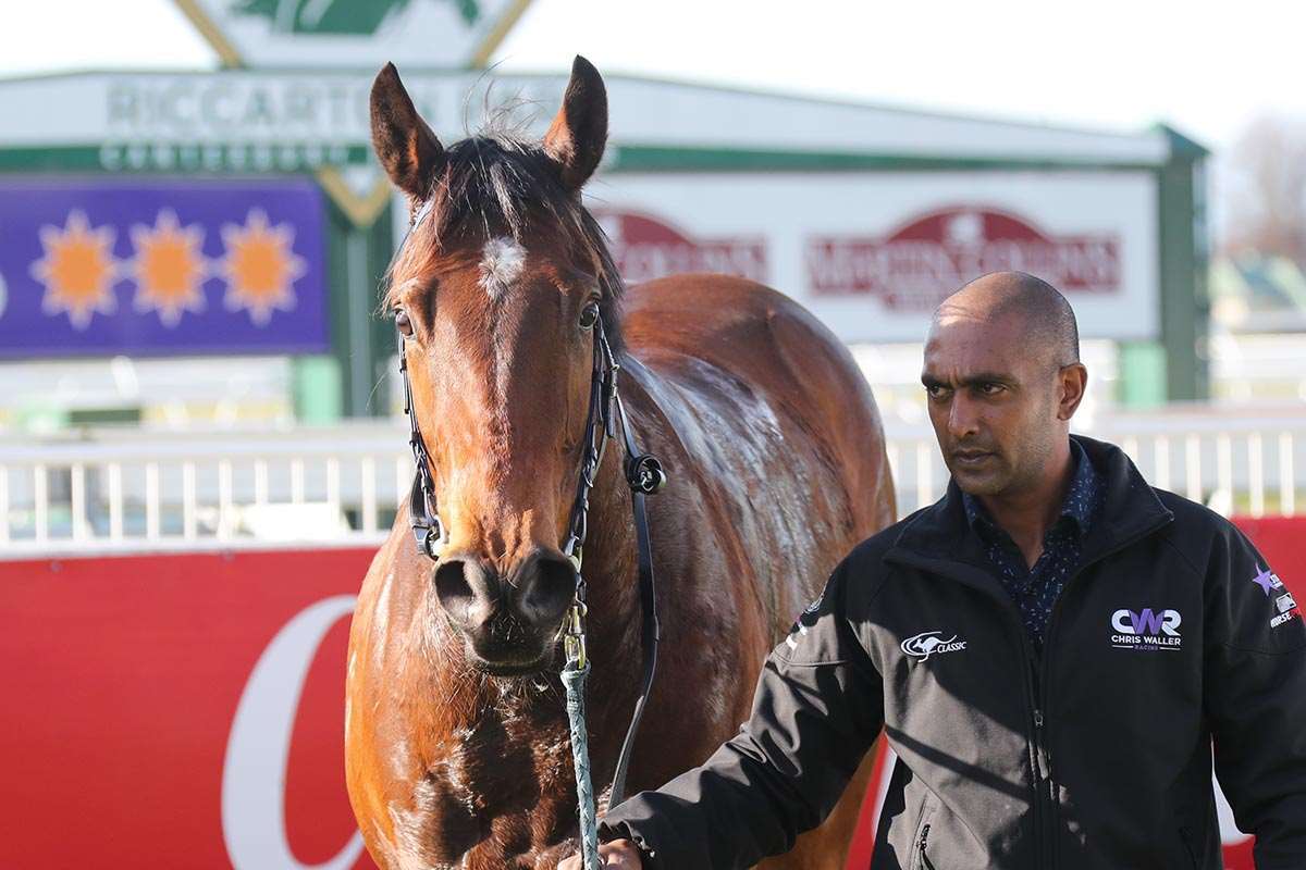 Parsons’ and Rahmit chasing New Plymouth first