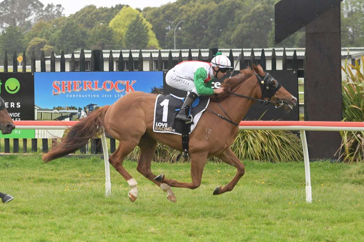 Forsman chasing black-type success at Riccarton and Flemington