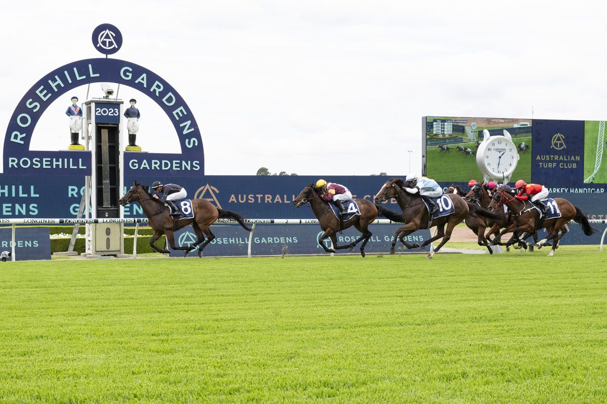 Nash continues impressive run with Toesonthenose