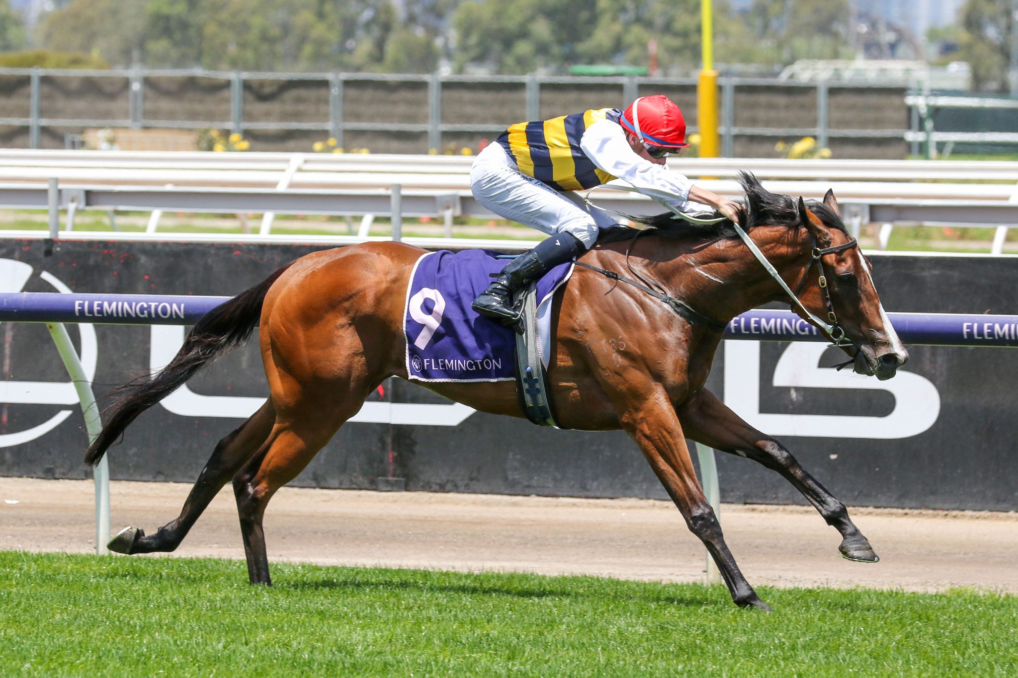 Krementz produces determined Flemington victory