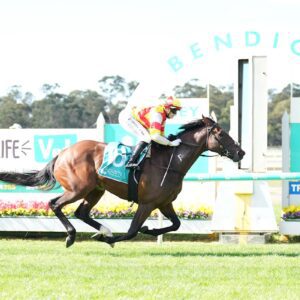 Coco Sun proves too strong in South Australian Derby triumph