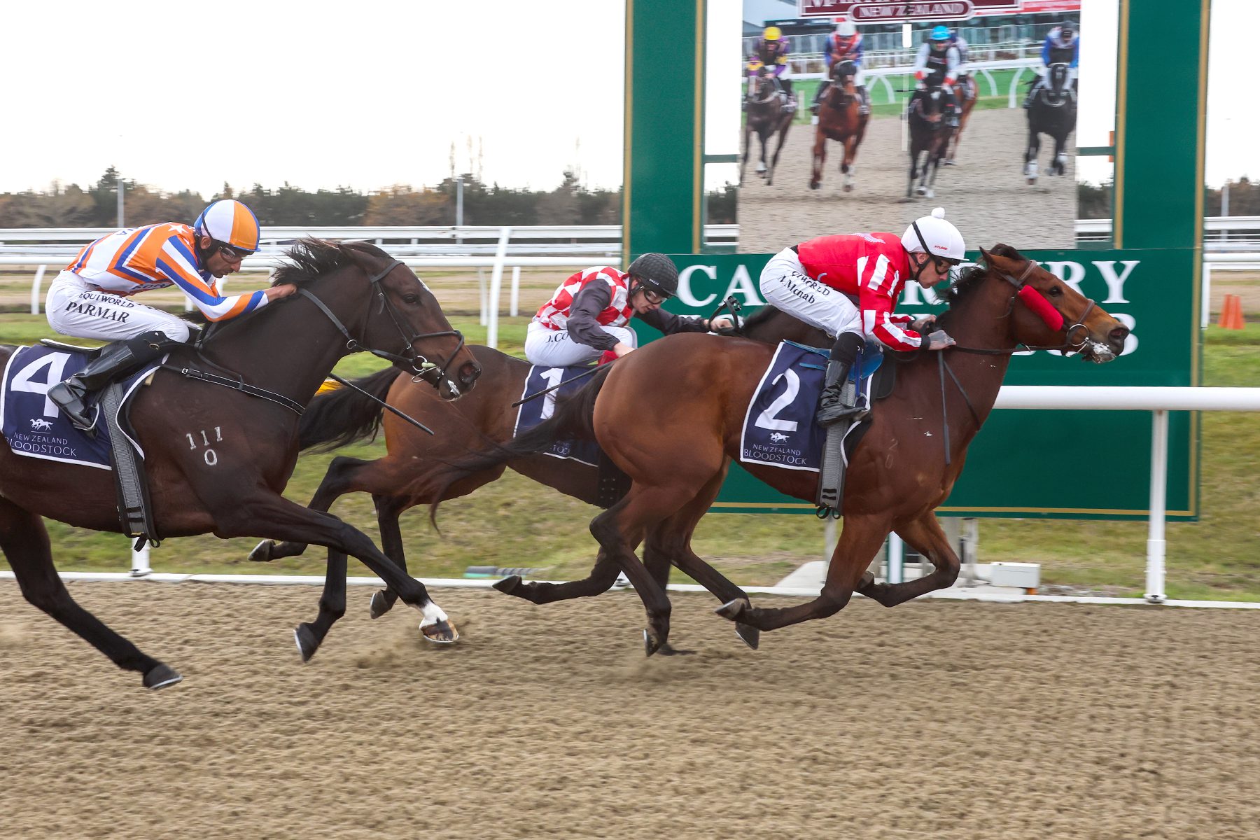 Motiontime hands Pitman’s further Riccarton success