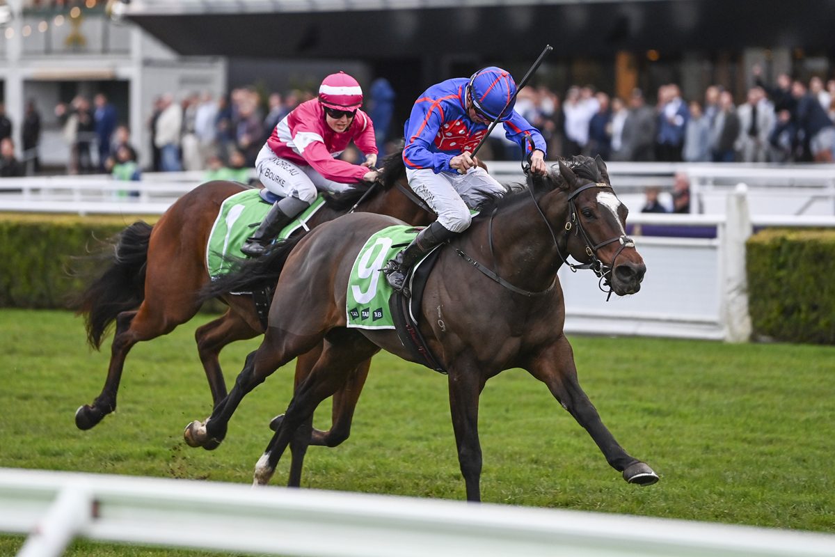 Rhapsody Chic storms to Randwick success