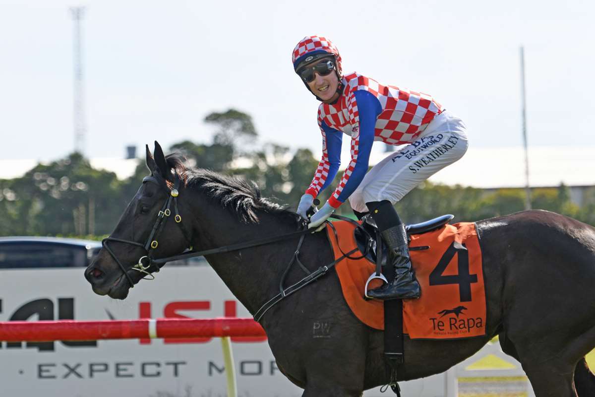 Arrowfield Stud Plate next for Mali Ston