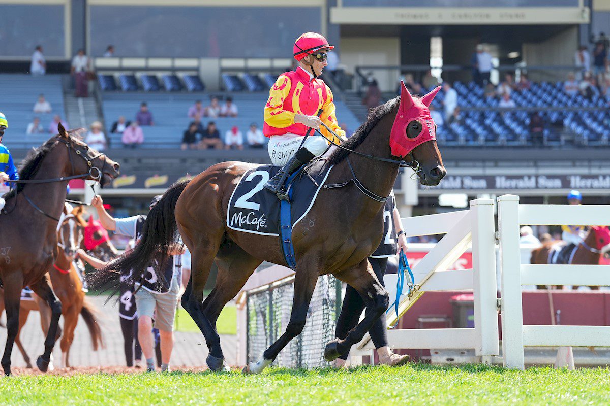 Rocketing By set for Flemington Group 3
