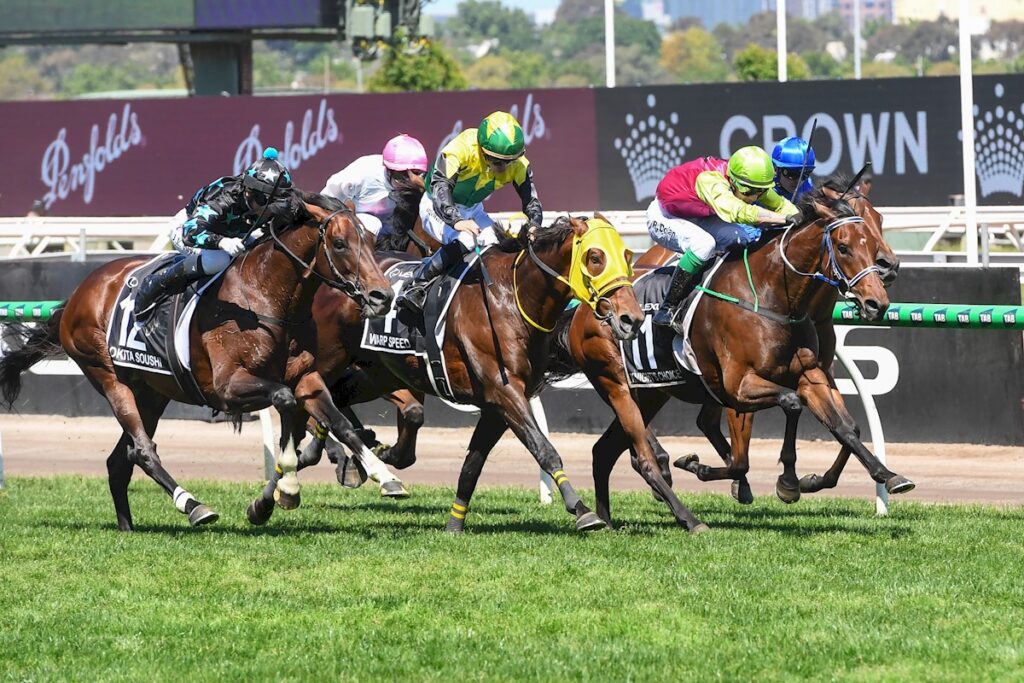 Knight's Choice wins Melbourne Cup