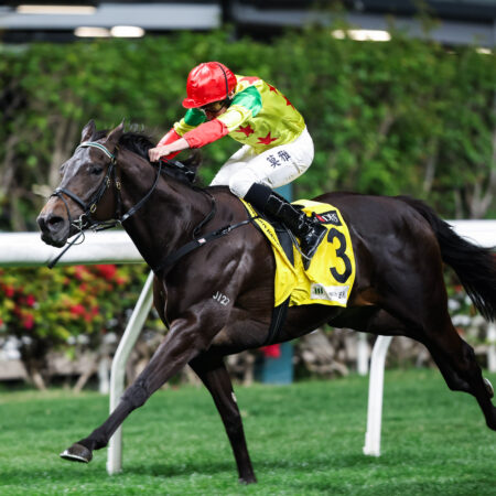 Soleil Fighter lands Happy Valley riches