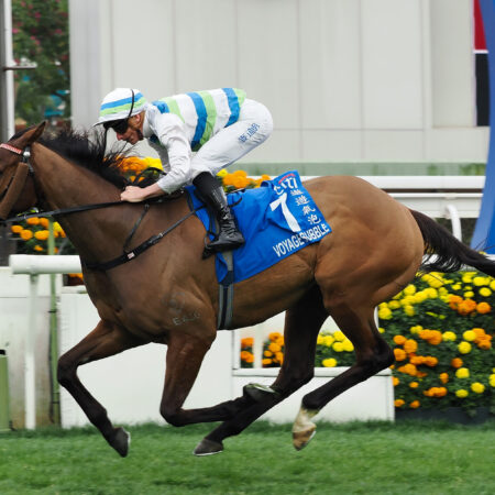 Voyage Bubble charges to Group 1 Hong Kong Gold Cup victory
