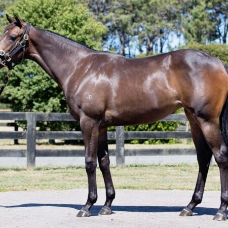 Group 3 winner for Reliable Man