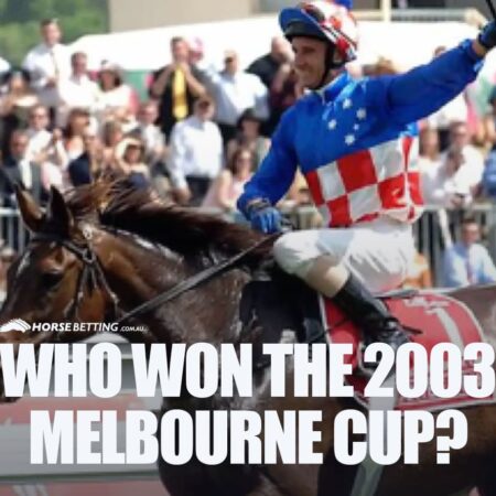 Who won the 2003 Melbourne Cup?