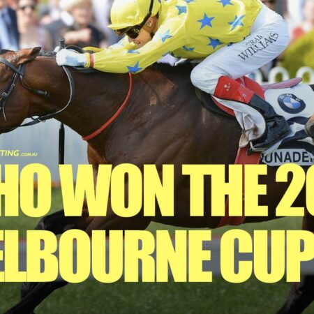Who won the 2011 Melbourne Cup?