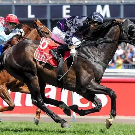 How many times has Barrier 5 won the Melbourne Cup?