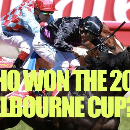 Who won the 2013 Melbourne Cup?