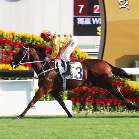 Melbourne Cup for resurgent Gold Mount