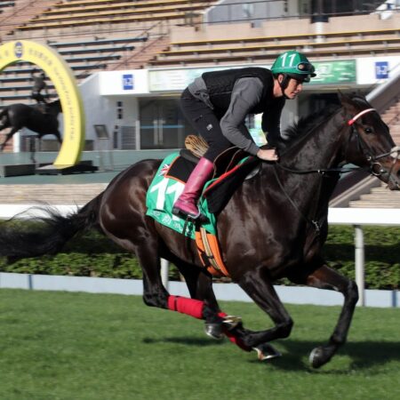Fellowes hopes Prince Of Arran will bring his Melbourne best to HK