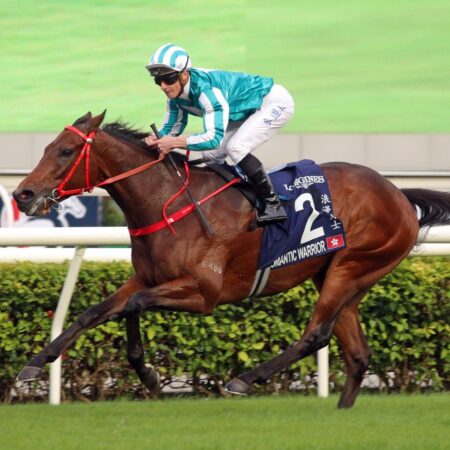 Turnbull Stakes to feature several spring contenders