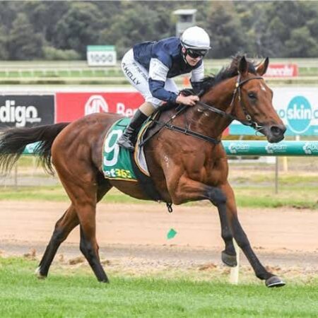 Point Nepean a ‘proper stayer’ says Williams