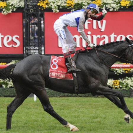 Who won the 2010 Melbourne Cup?