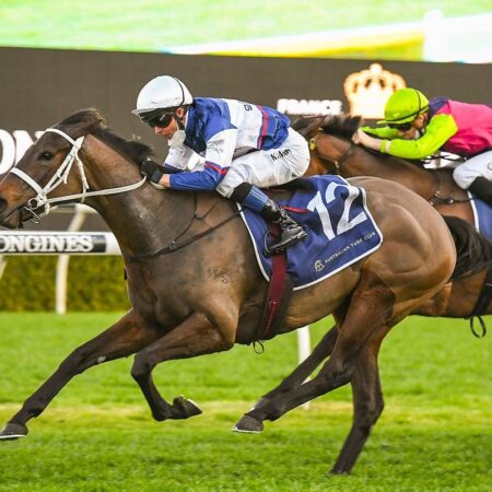 Kiwi mare not to be sneezed at