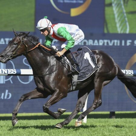 Stable praying for luck in Golden Eagle