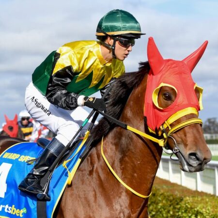 How many Melbourne Cups has Akira Sugawara won?