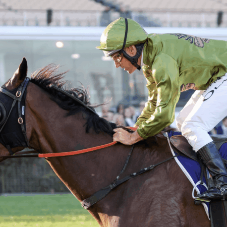 Alegron outstays rivals in VRC St Leger
