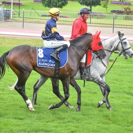 Oliver faces anxious wait ahead of final Melbourne Cup