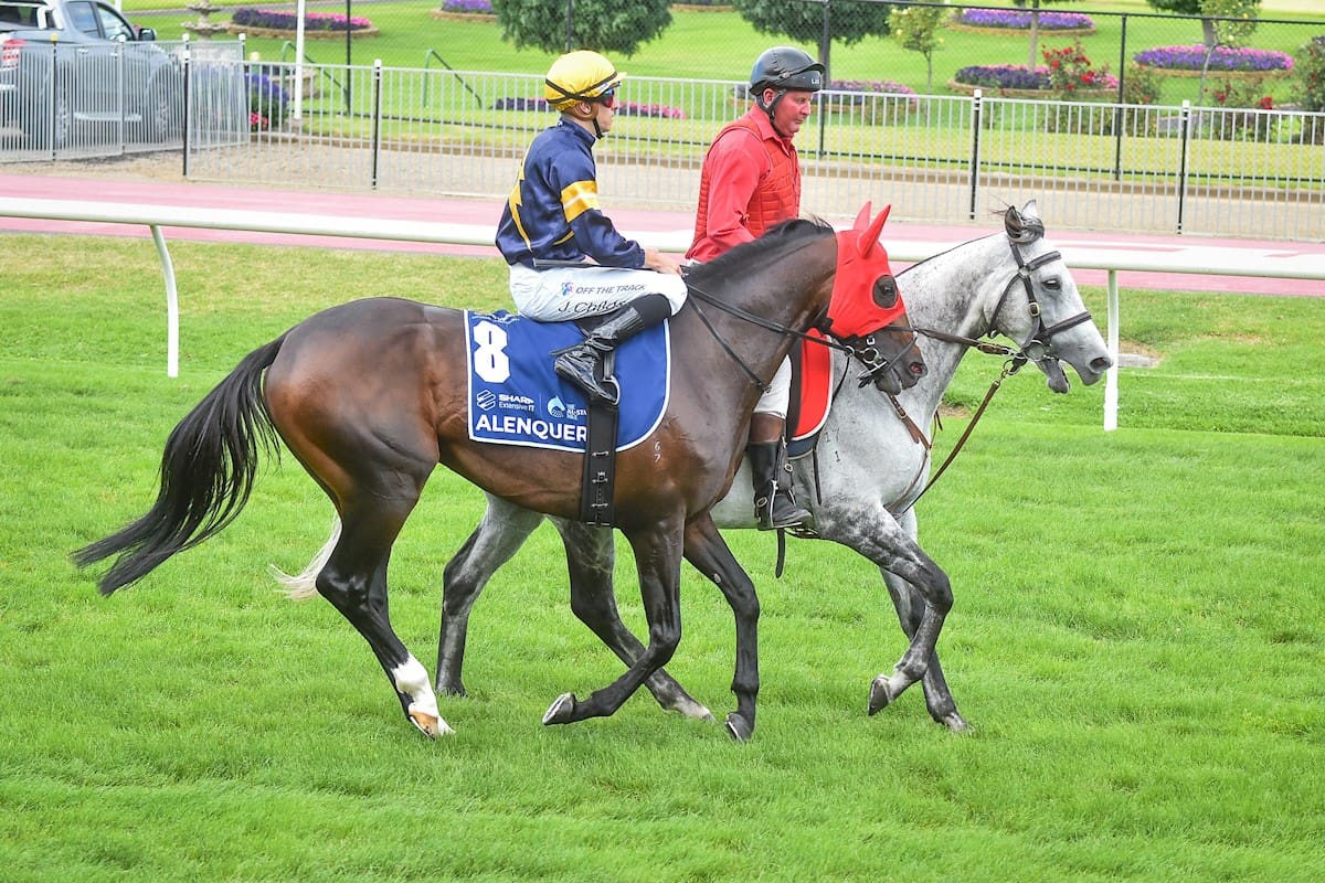 Alenquer could be scratch from the 2023 Melbourne Cup