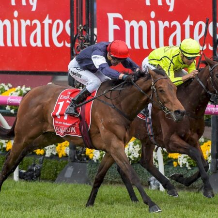 How many times has Barrier 17 won the Melbourne Cup?