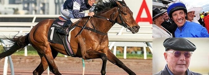 Almandin Melb Cup 2017