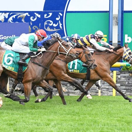 Amade snatches Geelong Cup with peach ride from Zac Spain