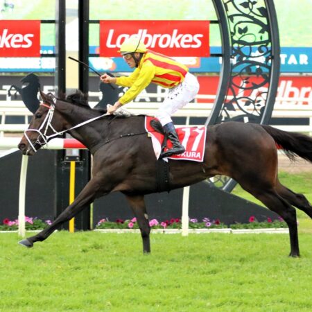 Damien Oliver announces retirement